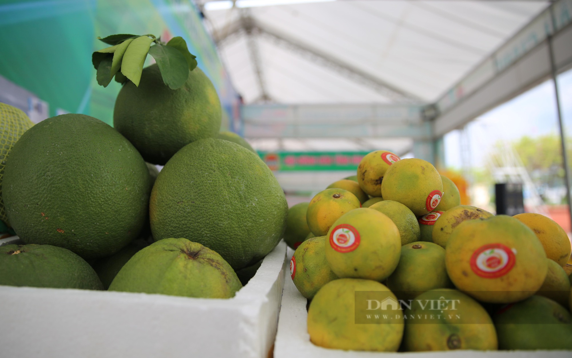 Hình ảnh Sơn La sẵn sàng cho Festival trái cây và sản phẩm OCOP Việt Nam - Ảnh 12.
