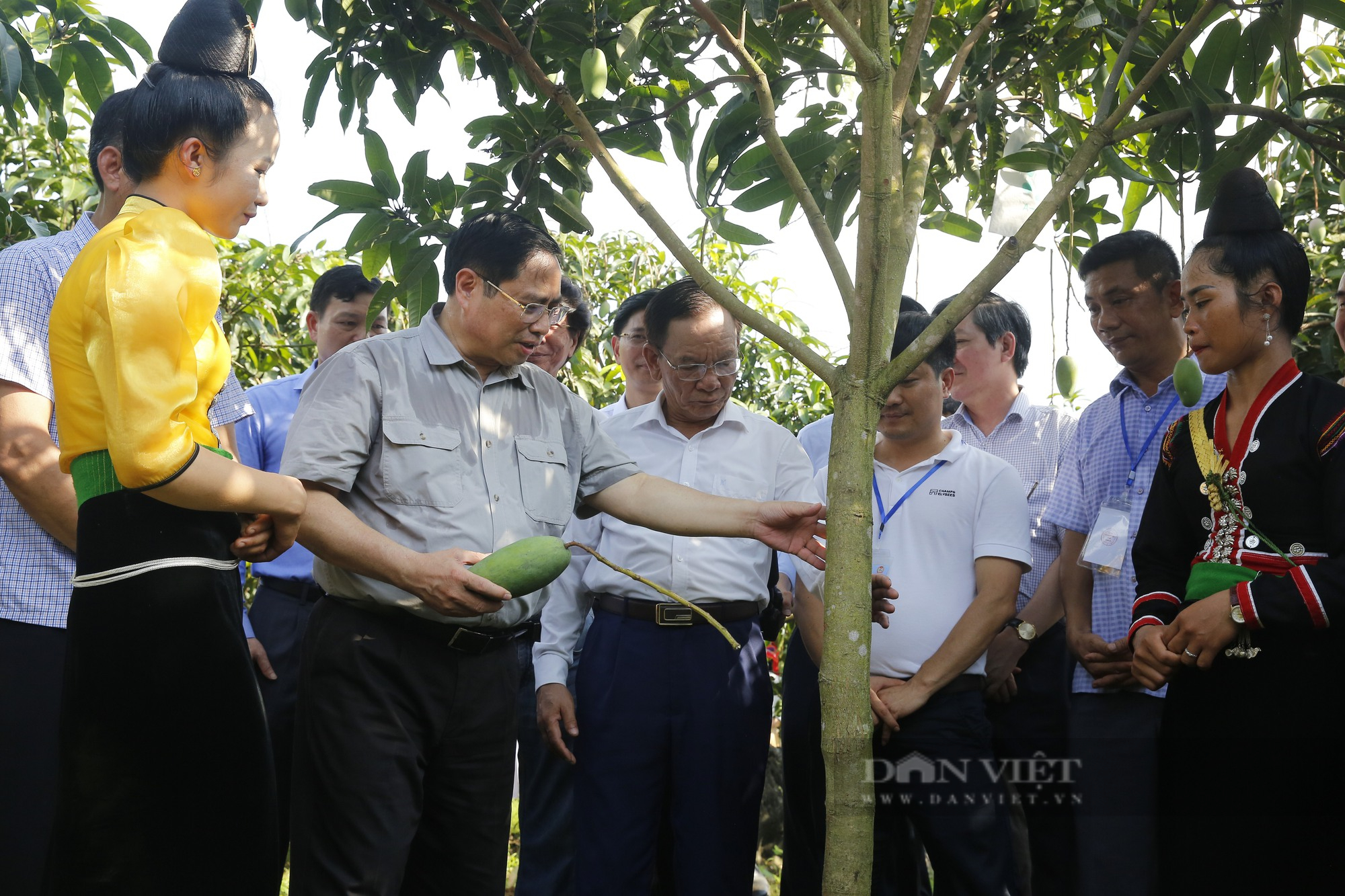 Thủ tướng Phạm Minh Chính thăm mô hình sản xuất nông nghiệp tiêu biểu tại Sơn La - Ảnh 3.