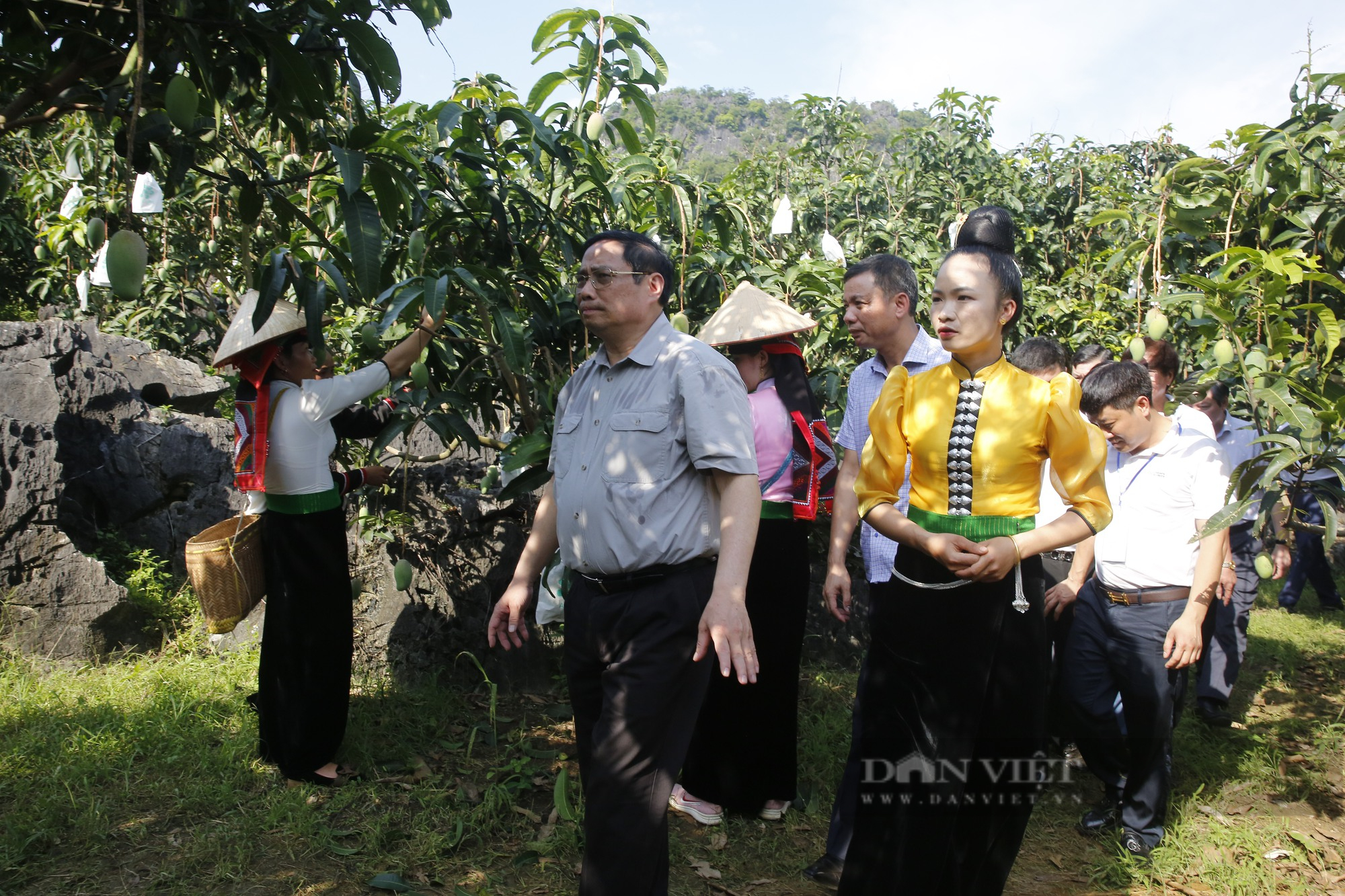Thủ tướng Phạm Minh Chính thăm mô hình sản xuất nông nghiệp tiêu biểu tại Sơn La - Ảnh 5.