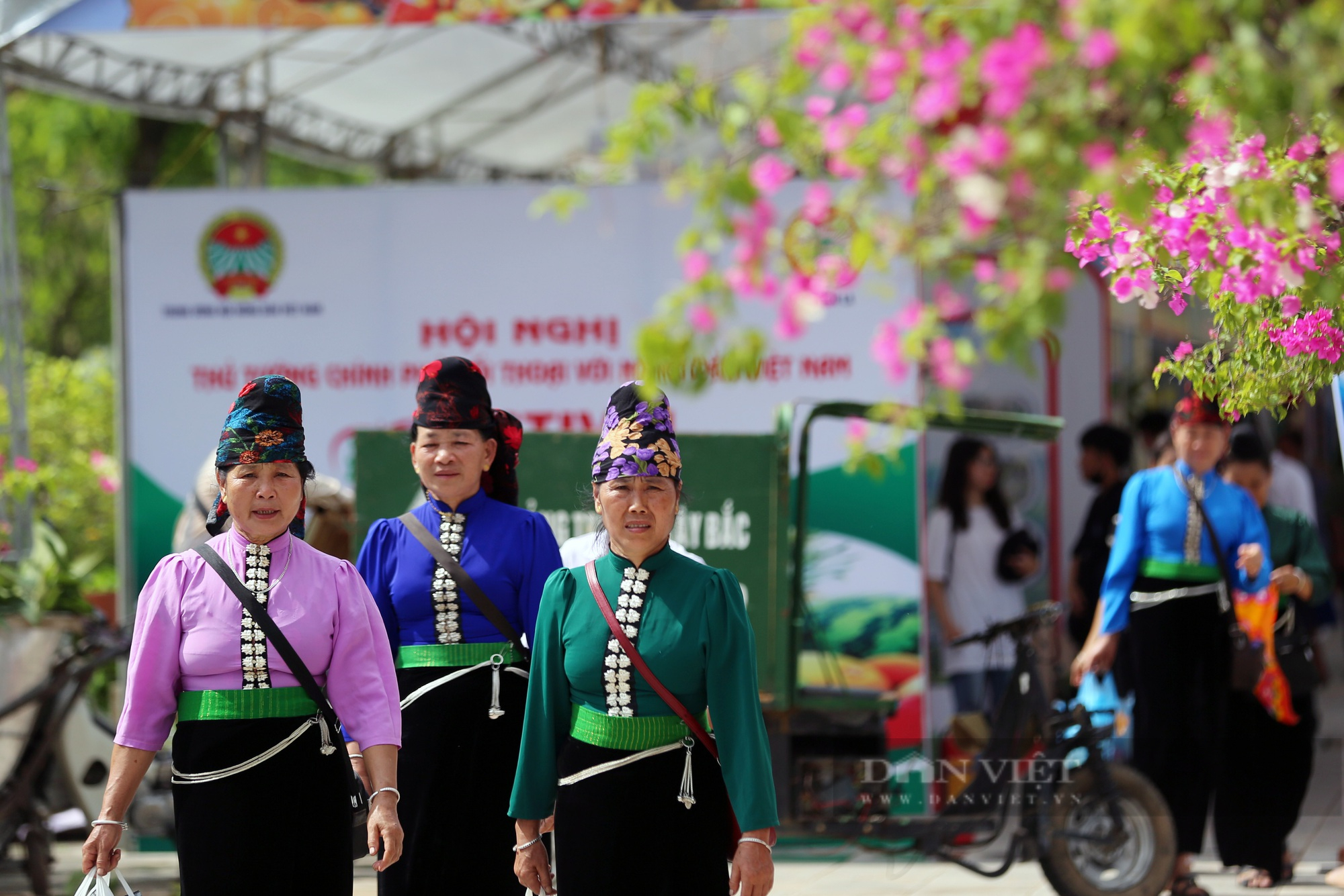 Hình ảnh Sơn La sẵn sàng cho Festival trái cây và sản phẩm OCOP Việt Nam - Ảnh 9.