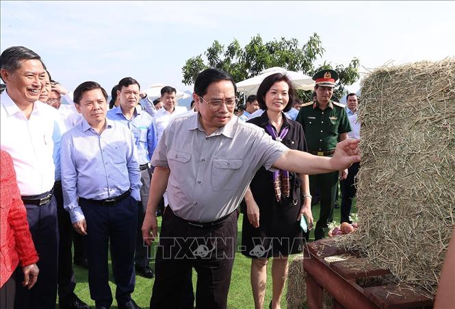 Thủ tướng Phạm Minh Chính dự lễ khởi công tổ hợp “Thiên đường sữa Mộc Châu” - Ảnh 2.