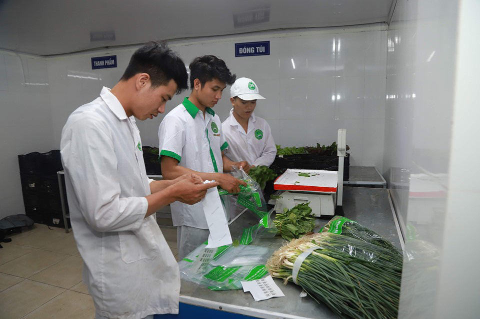 Tâm tư, kiến nghị Thủ tướng: Cần giải pháp hỗ trợ HTX trong việc chuyển đổi đất công ích phục vụ sản xuất - Ảnh 2.