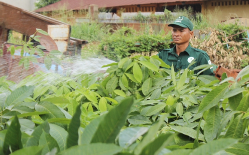 Nhiều gia đình dân tộc Mông ở Hà Giang vào Đồng Nai làm công nhân cao su, mua được đất, cất được nhà