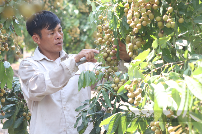 Ghi nhanh: Nông dân hào hứng về Sơn La để được đối thoại với Thủ tướng Chính phủ - Ảnh 2.