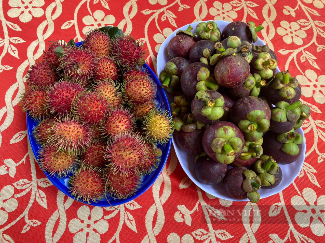 Going back to Cu Chi to explore the garden, pick fruit, ride a horse-drawn carriage - Photo 3.