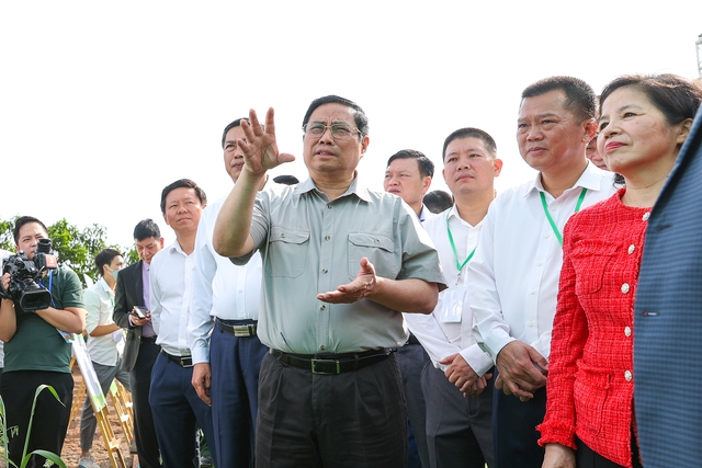 Hàng loạt sự kiện của Thủ tướng trước thềm Hội nghị Thủ tướng đối thoại với Nông dân 2022 - Ảnh 4.