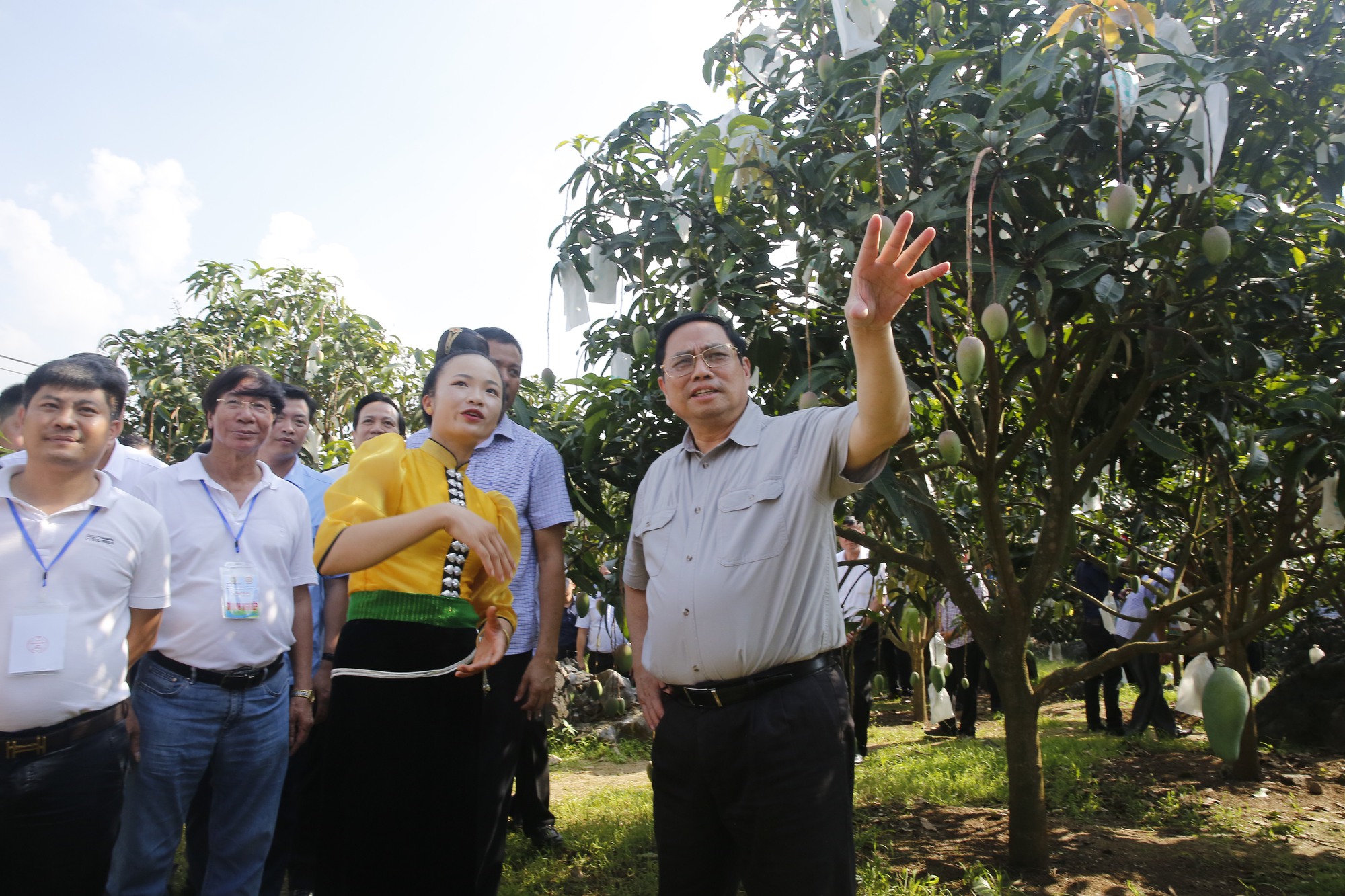 Thủ tướng: Sơn La thực hiện đồng bộ 5 giải pháp để đưa nông sản cất cánh - Ảnh 3.
