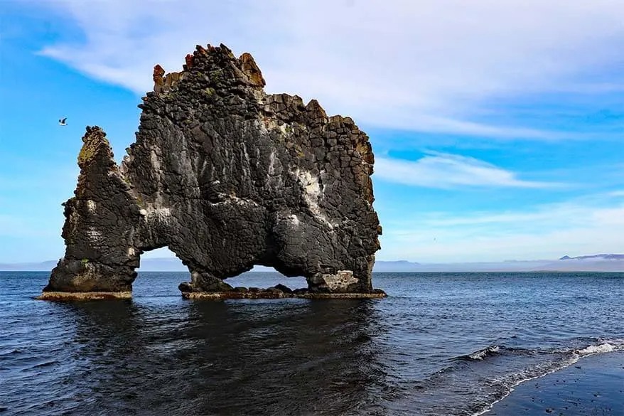 Strangely, nature's creation with a rhinoceros-shaped rock is drinking sea water - Photo 1.