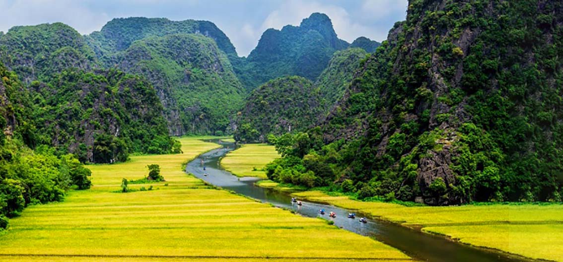 Regulations are open, but what is the reason why international visitors to Vietnam are still 