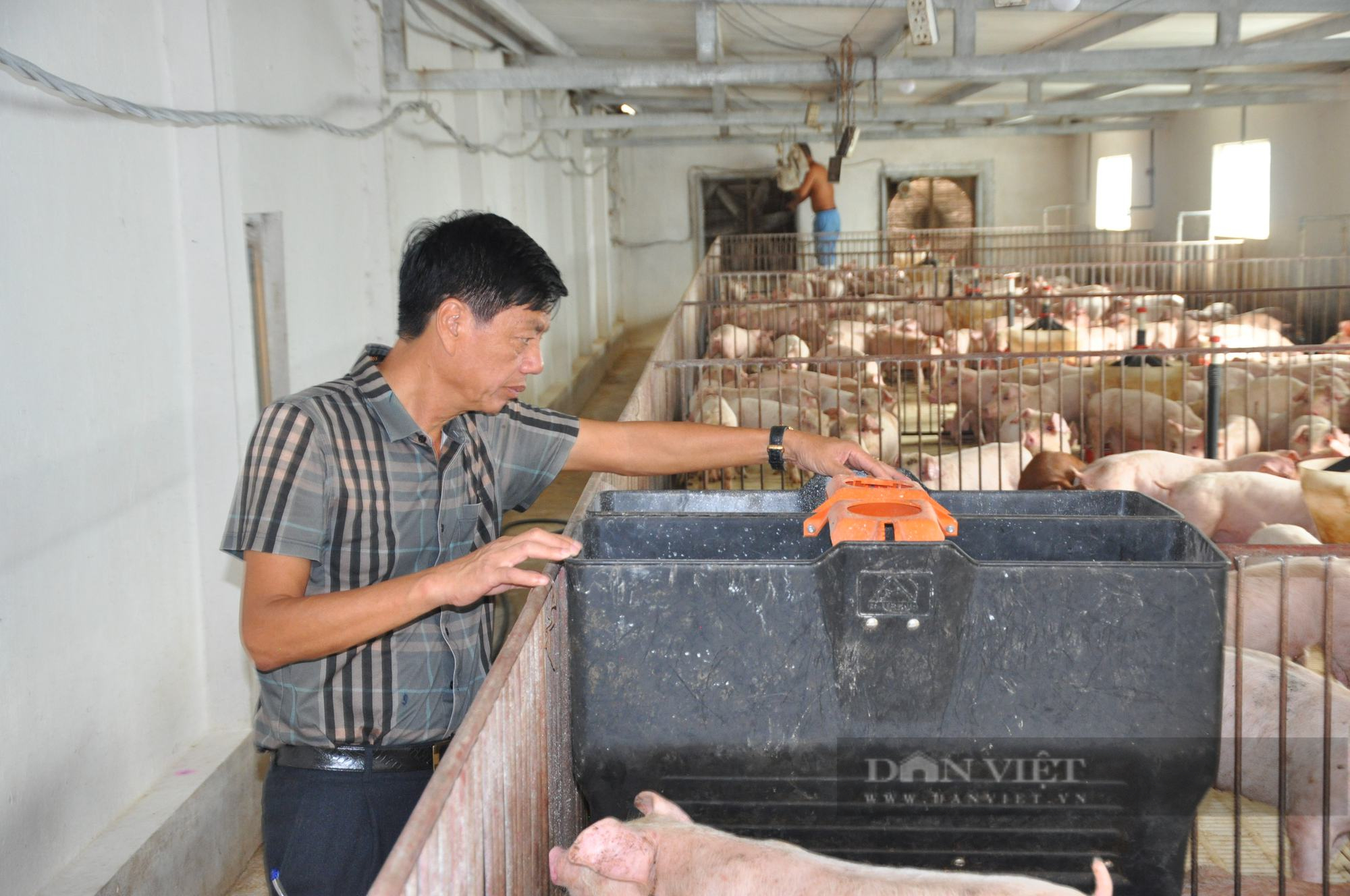 Bộ trưởng Lê Minh Hoan bày cách giúp nông dân giảm chi phí thức ăn chăn nuôi, phân bón... - Ảnh 3.