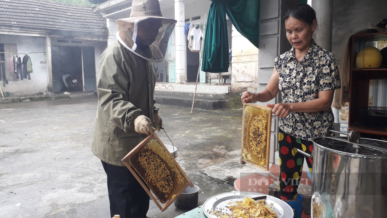 Thái Nguyên: Cặp vợ chồng già quanh năm vui vầy với bầy ong mật mà vẫn đủ ăn đủ tiêu - Ảnh 5.