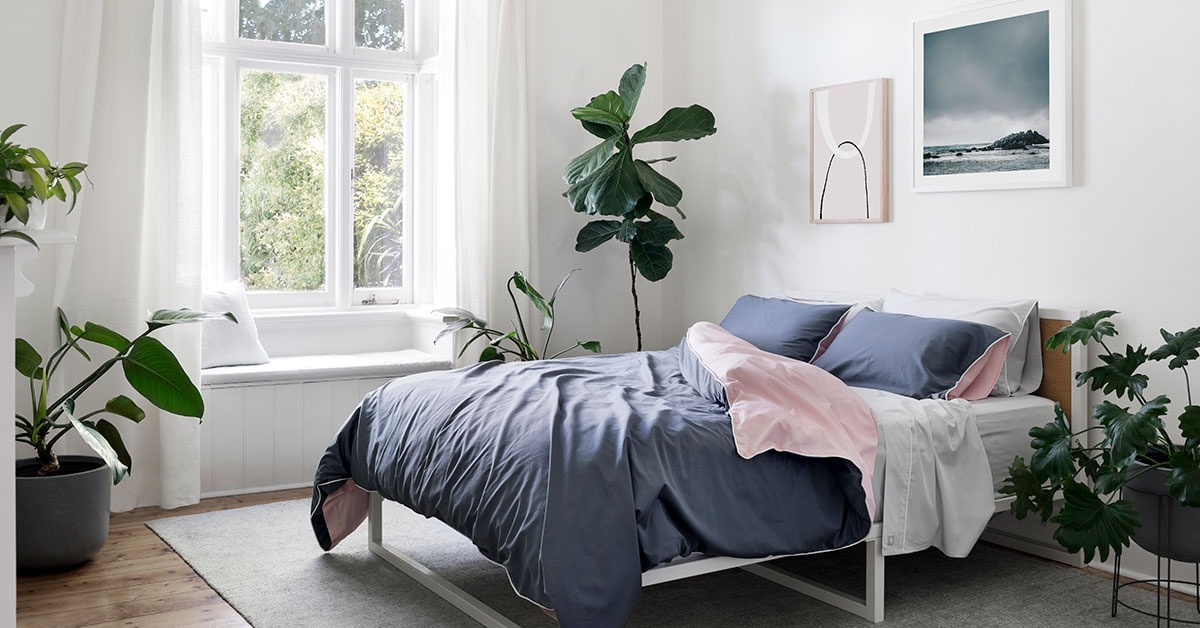 3 benefits of keeping plants in the bedroom, the second effect is not sure you know