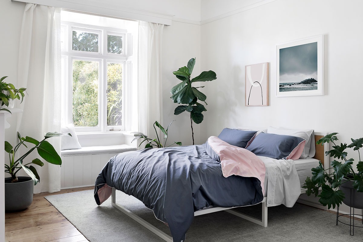 3 benefits of having plants in your bedroom - Photo 1.