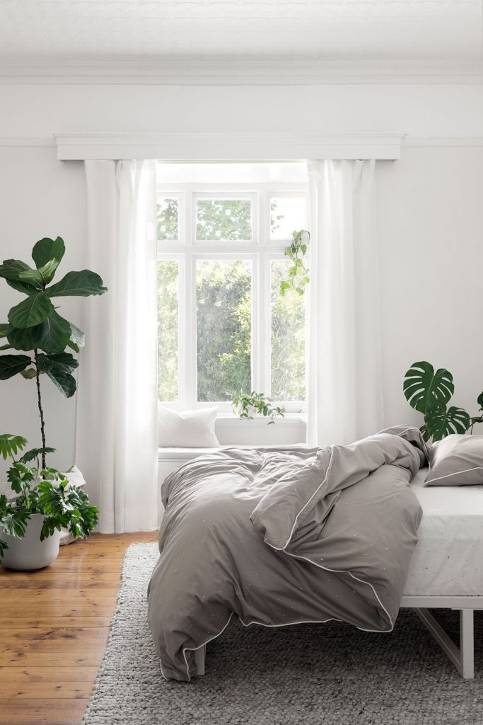 3 benefits of having plants in your bedroom - Photo 4.