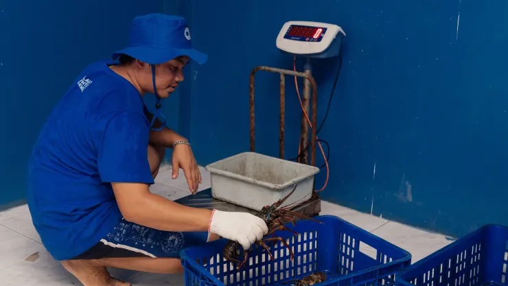 Cô gái 28 tuổi khởi nghiệp với 16 triệu đồng, xây dựng startup "triệu đô" - Ảnh 3. Cô gái 28 tuổi khởi nghiệp với 16 triệu đồng, xây dựng startup "triệu đô" - Ảnh 3.