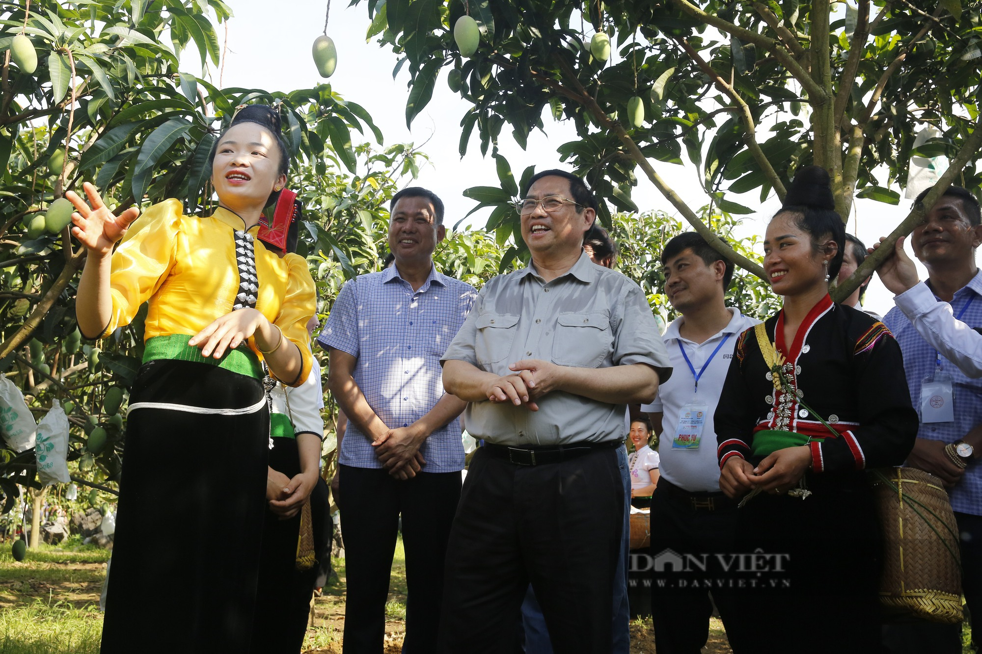 Tổ chức Hội và Hôi viên nông dân Việt Nam góp phần vào đẩy mạnh công nghiệp hóa, hiện đại hóa đất nước - Ảnh 5.
