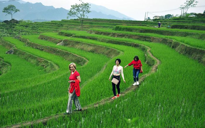 Hoang sơ khu bảo tồn thiên nhiên Pù Luông