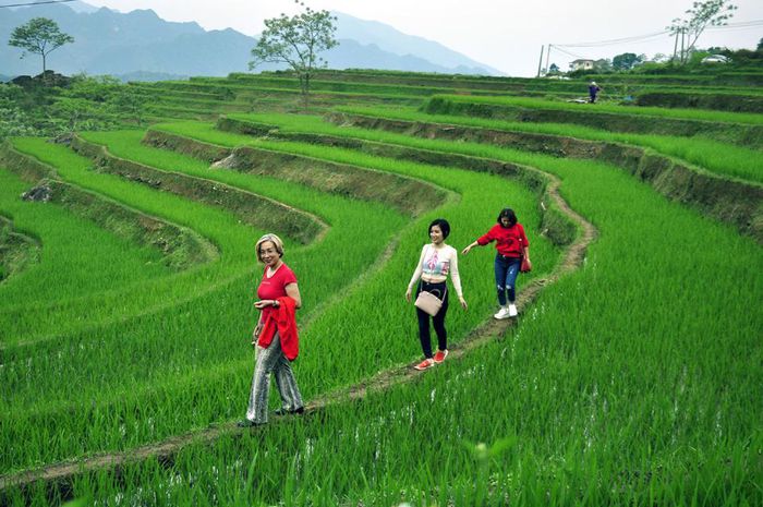 Hoang sơ khu bảo tồn thiên nhiên Pù Luông - Ảnh 1.