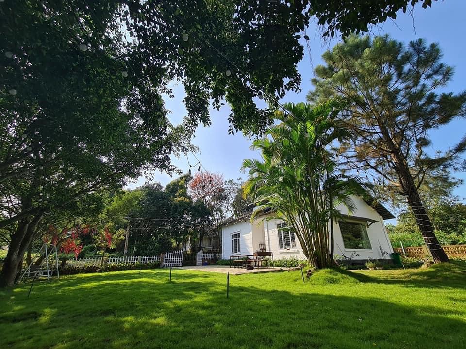 Nữ CEO biến căn nhà cũ thành ngôi nhà đẹp sân vườn xanh mướt rộng 120m2, trên mảnh vườn 800m2 dưới chân núi Ba Vì  - Ảnh 3.