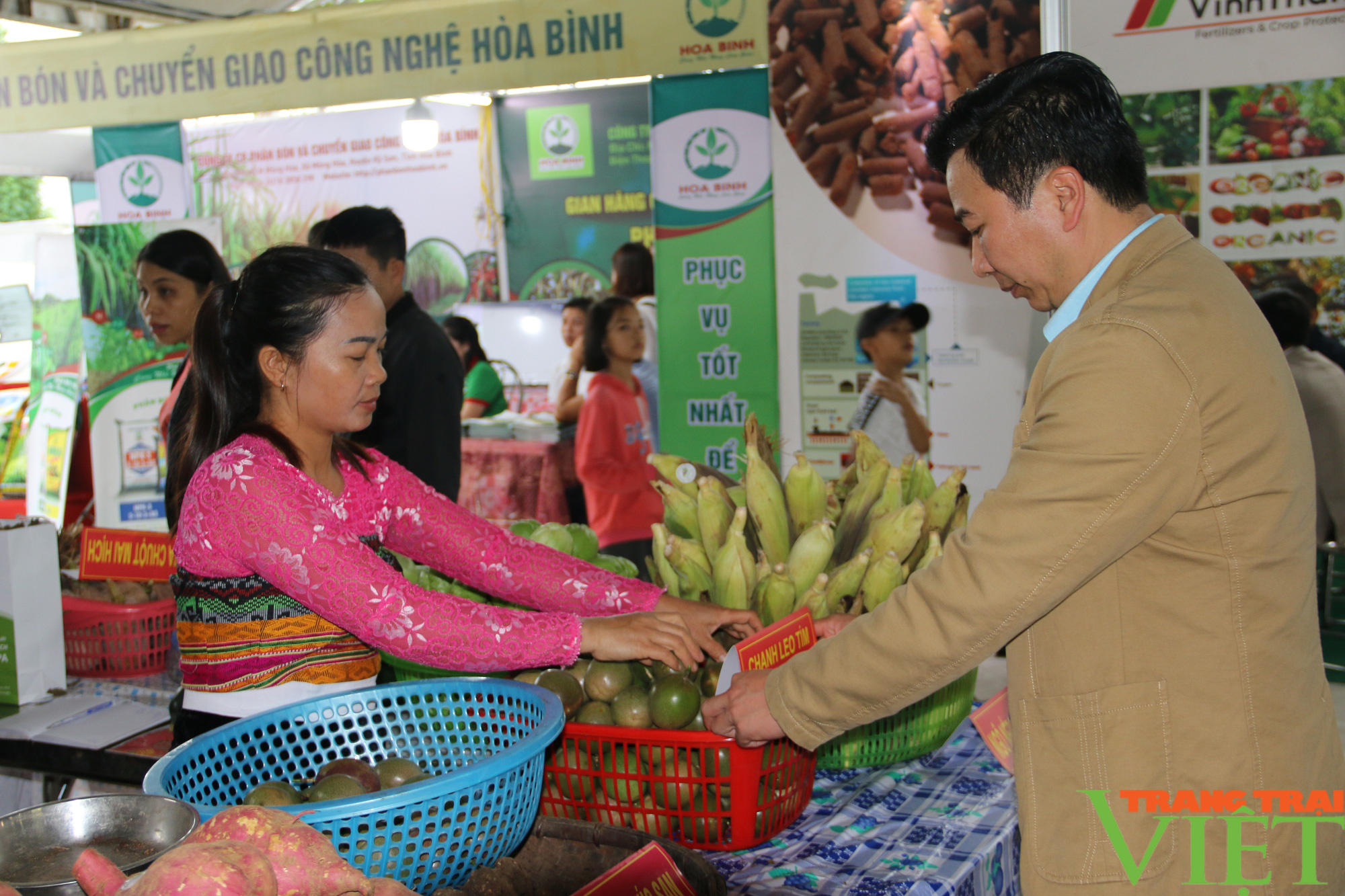 Hoà Bình tập trung phát triển nông nghiệp sạch, an toàn và đẩy mạnh xuất khẩu - Ảnh 3.