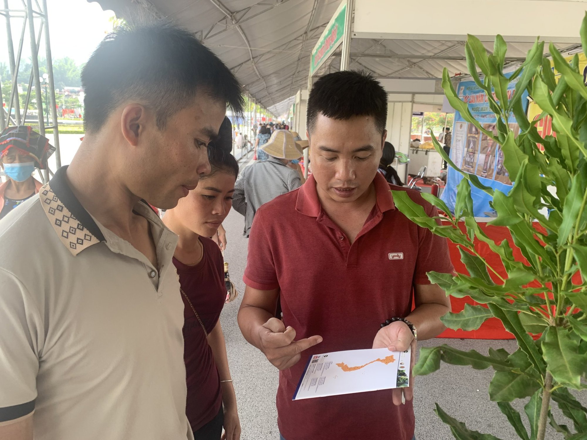 ‘Nữ hoàng quả khô’ mắc ca ‘hút khách’ ở festival trái cây lớn nhất vùng Tây Bắc - Ảnh 4.