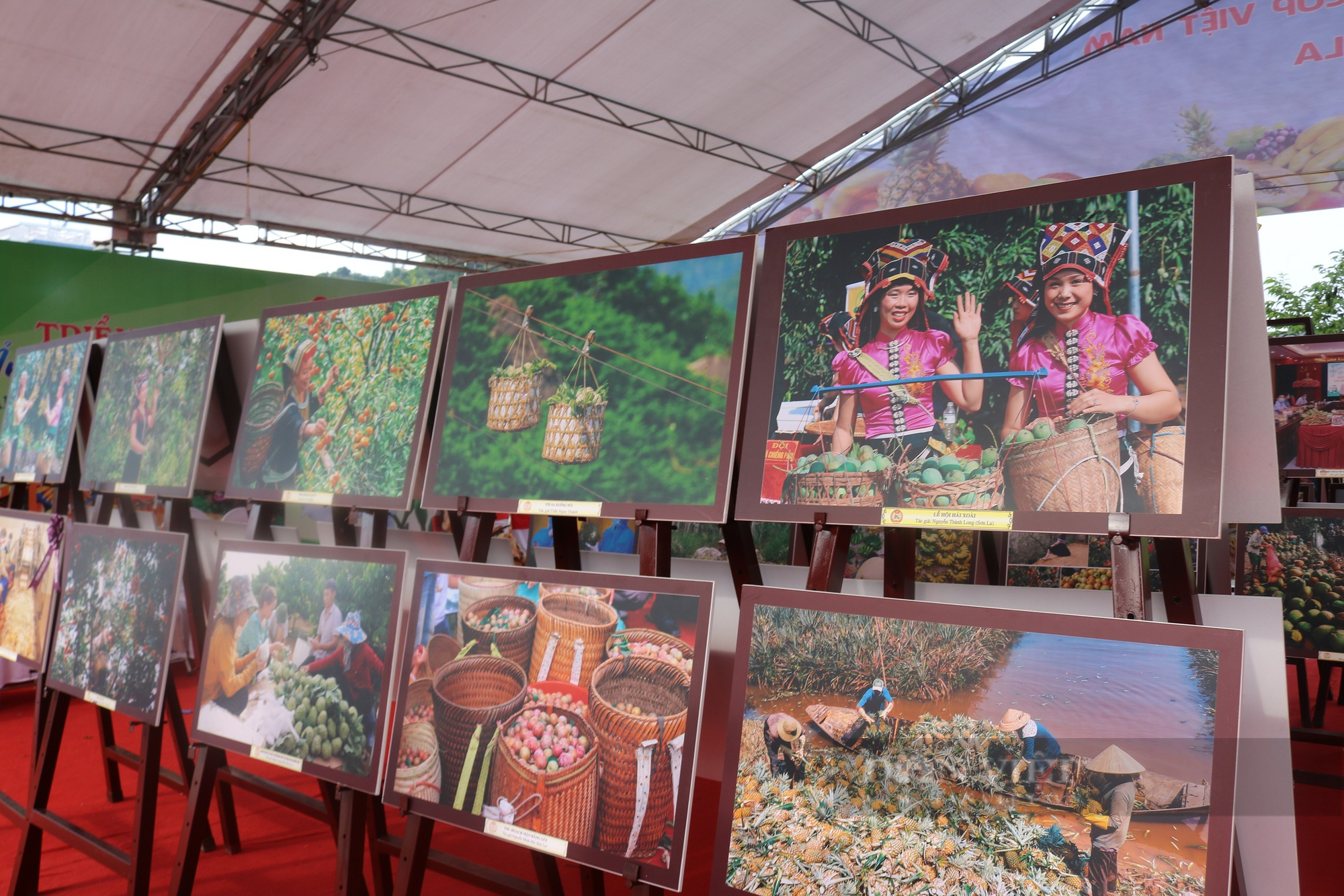 Dấu ấn khó phai Festival trái cây và sản phẩm OCOP Việt Nam năm 2022 tại Sơn La - Ảnh 5.