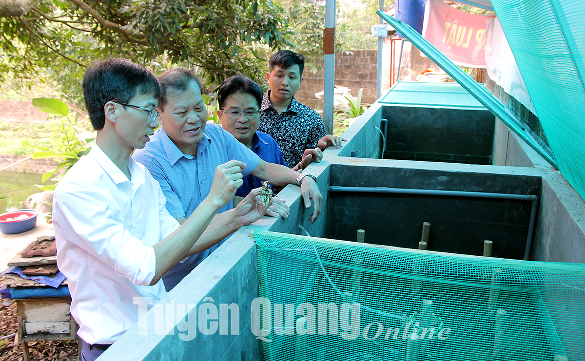 Nuôi thành công con côn trùng ngỡ như đã tuyệt chủng, nhiều người kéo đến nhà thầy giáo Tuyên Quang xem cho bằng được - Ảnh 1.