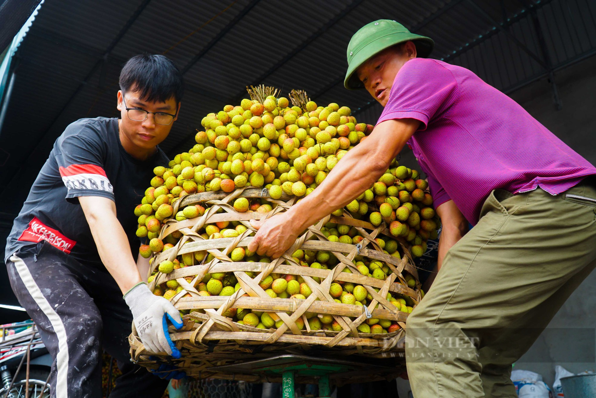 Nông dân thủ phủ vải Thanh Hà phấn khởi vì vải được mùa, bán giá cao - Ảnh 11.