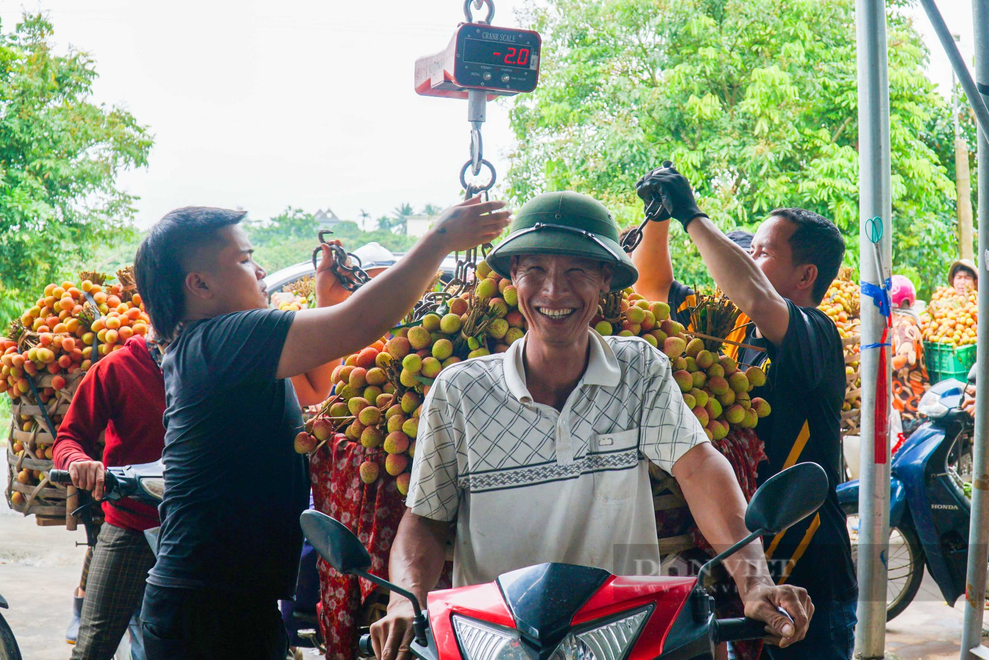 Nông dân thủ phủ vải Thanh Hà phấn khởi vì vải được mùa, bán giá cao - Ảnh 7.