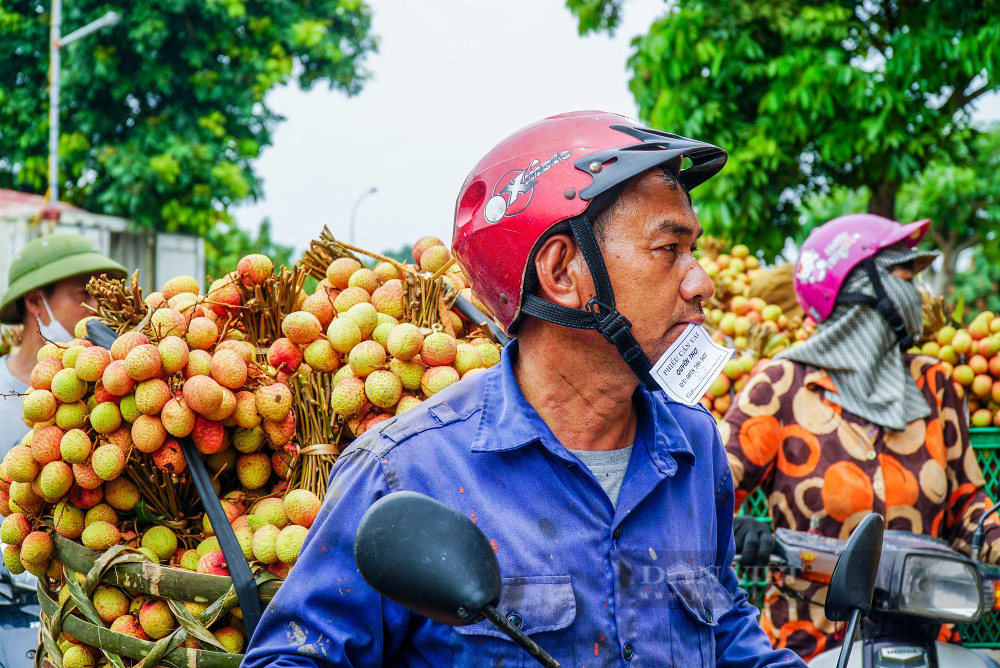 Nông dân thủ phủ vải Thanh Hà phấn khởi vì vải được mùa, bán giá cao - Ảnh 8.