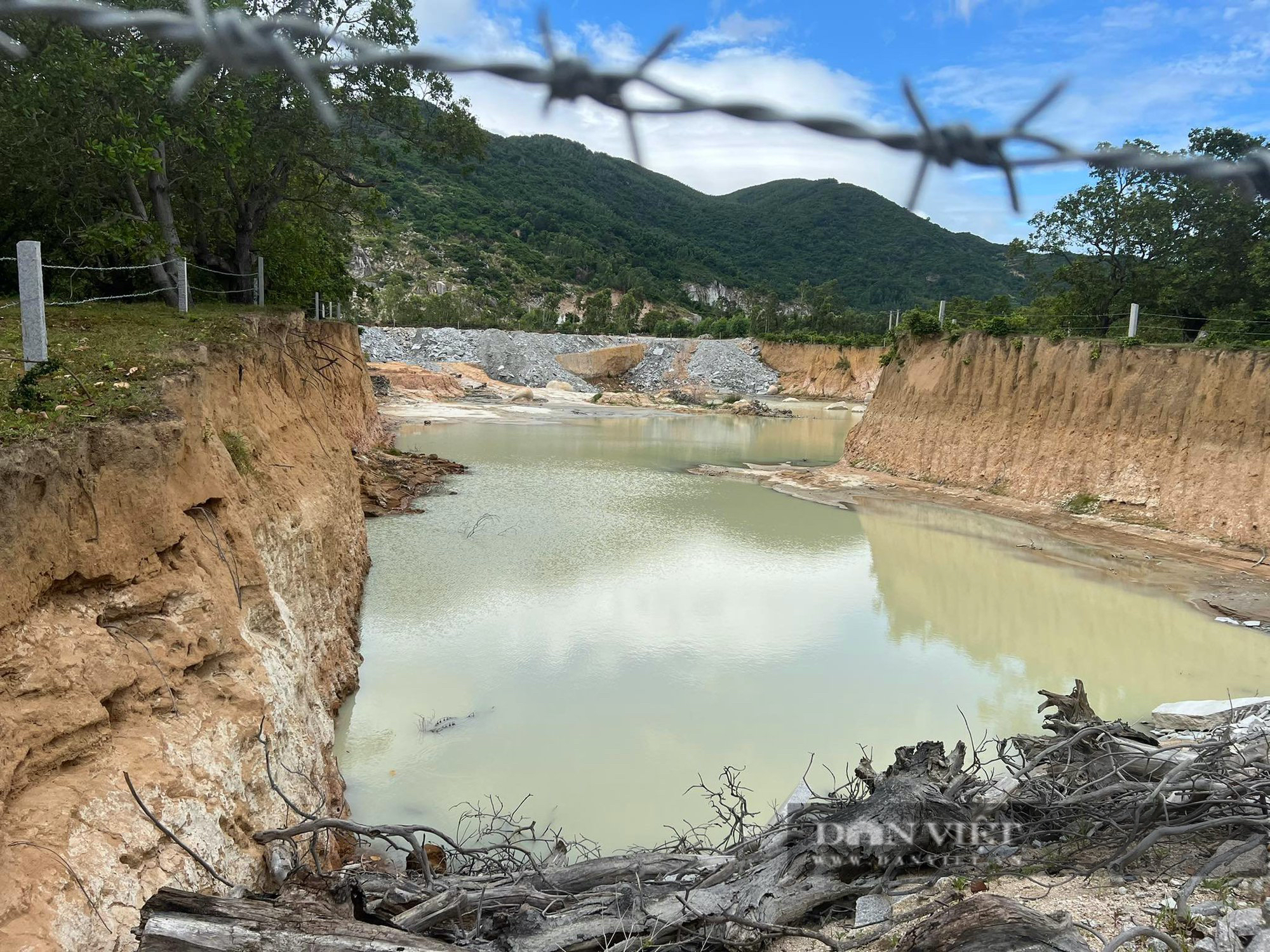 'Banh phui' violates the hot spot of 'smuggled' land in Binh Dinh - Photo 3.