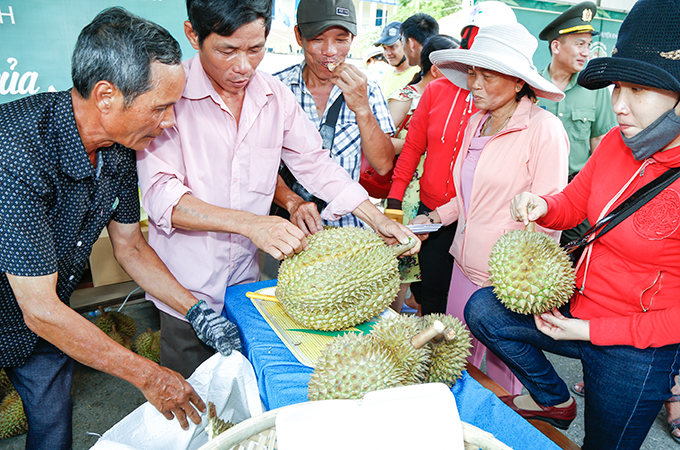 Khánh Hòa: Đầu tháng 8 diễn ra lễ hội trái cây - Ảnh 1.