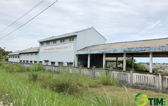 Quảng Ngãi: Xoá sổ nhà máy muối Sa Huỳnh, thu hồi đất đưa vào đấu giá  - Ảnh 1.