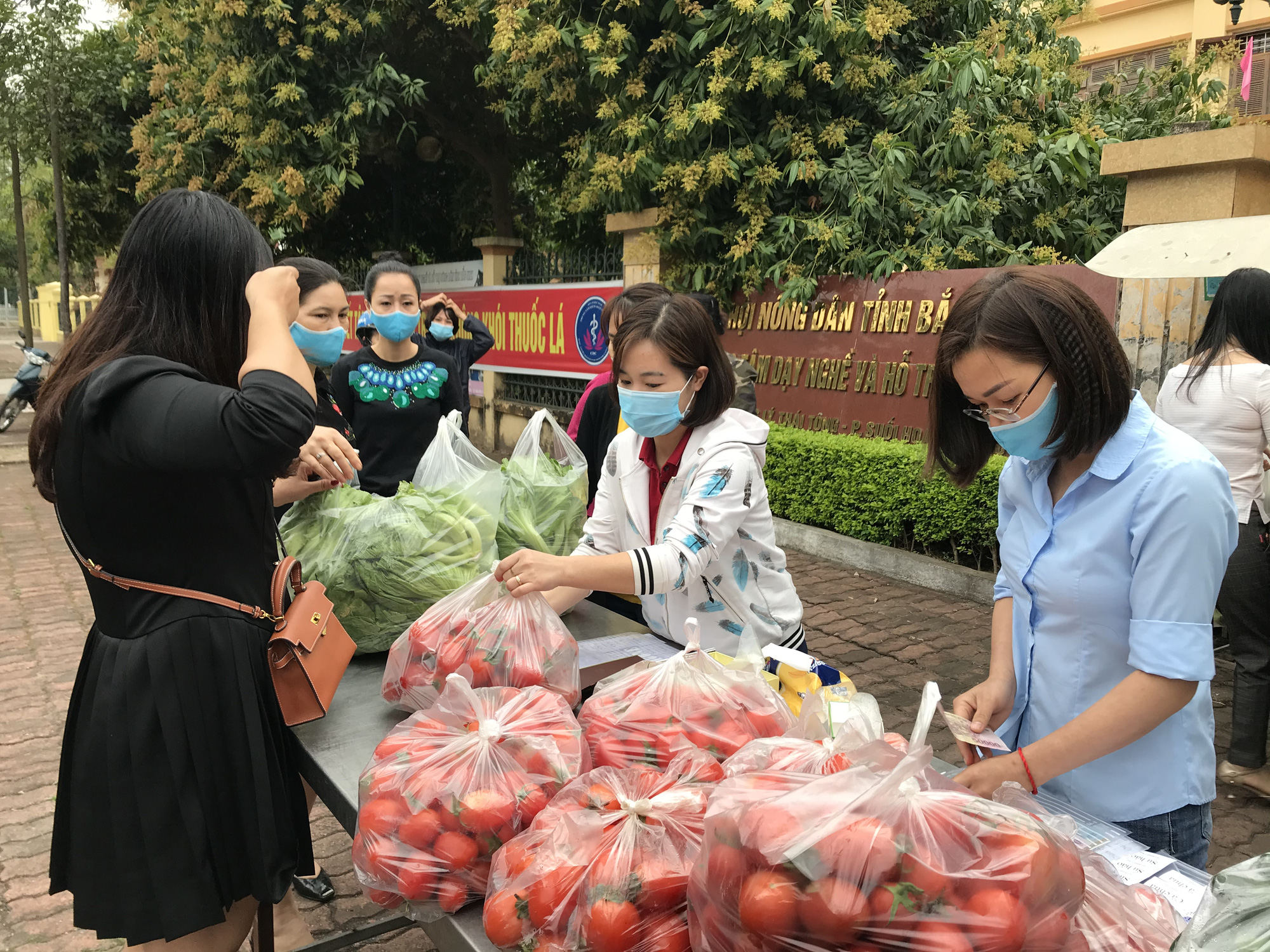Trung tâm Dạy nghề và hỗ trợ nông dân tỉnh Bắc Ninh: 20 năm sát cánh cùng nhà nông - Ảnh 3.