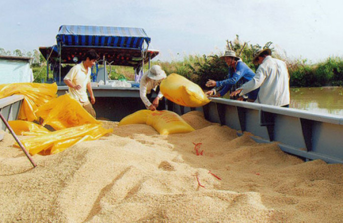 Dư địa để gia tăng xuất khẩu gạo sang thị trường ASEAN còn quá lớn - Ảnh 1.