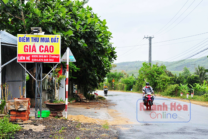 Đất vườn ở Khánh Hòa có nơi tăng giá 5-10 lần, biển rao bán đất &quot;đậu&quot; như bươm bướm, &quot;cò đất&quot; ăn chực nằm chờ - Ảnh 2.