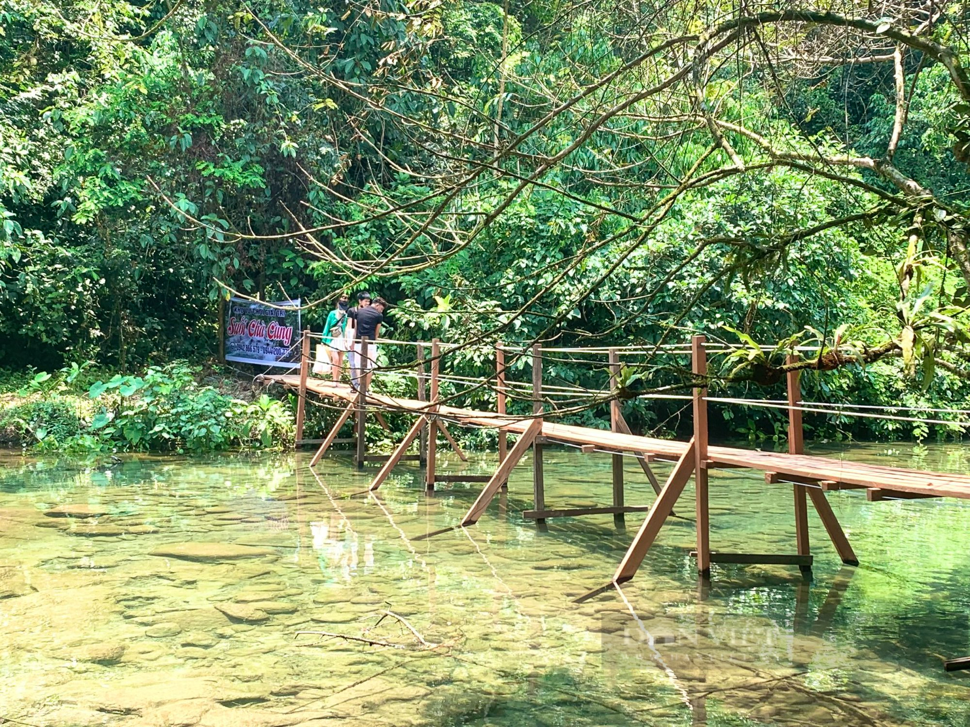 Vụ khu vui chơi giải trí không phép giữa rừng phòng hộ ở Quảng Bình: Chủ tịch UBND tỉnh chỉ đạo kiểm tra, xử lý - Ảnh 1.