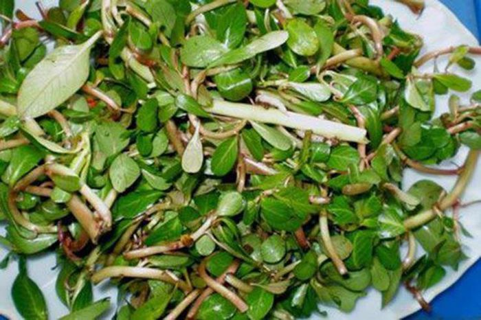 Loại &quot;rau nhà nghèo&quot; tự mọc sum suê, hái phơi khô bán 120.000 đồng/kg - Ảnh 5.