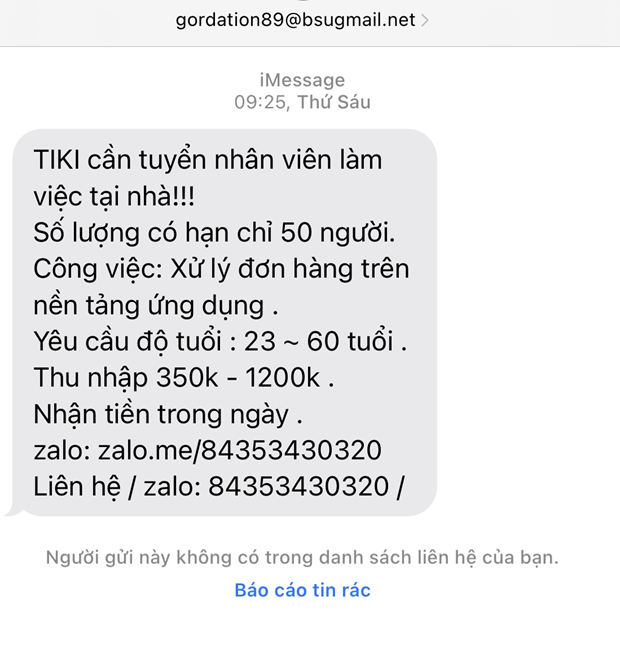 Nhức nhối nạn giả mạo thương mại điện tử để lừa đảo tuyển dụng - Ảnh 3.