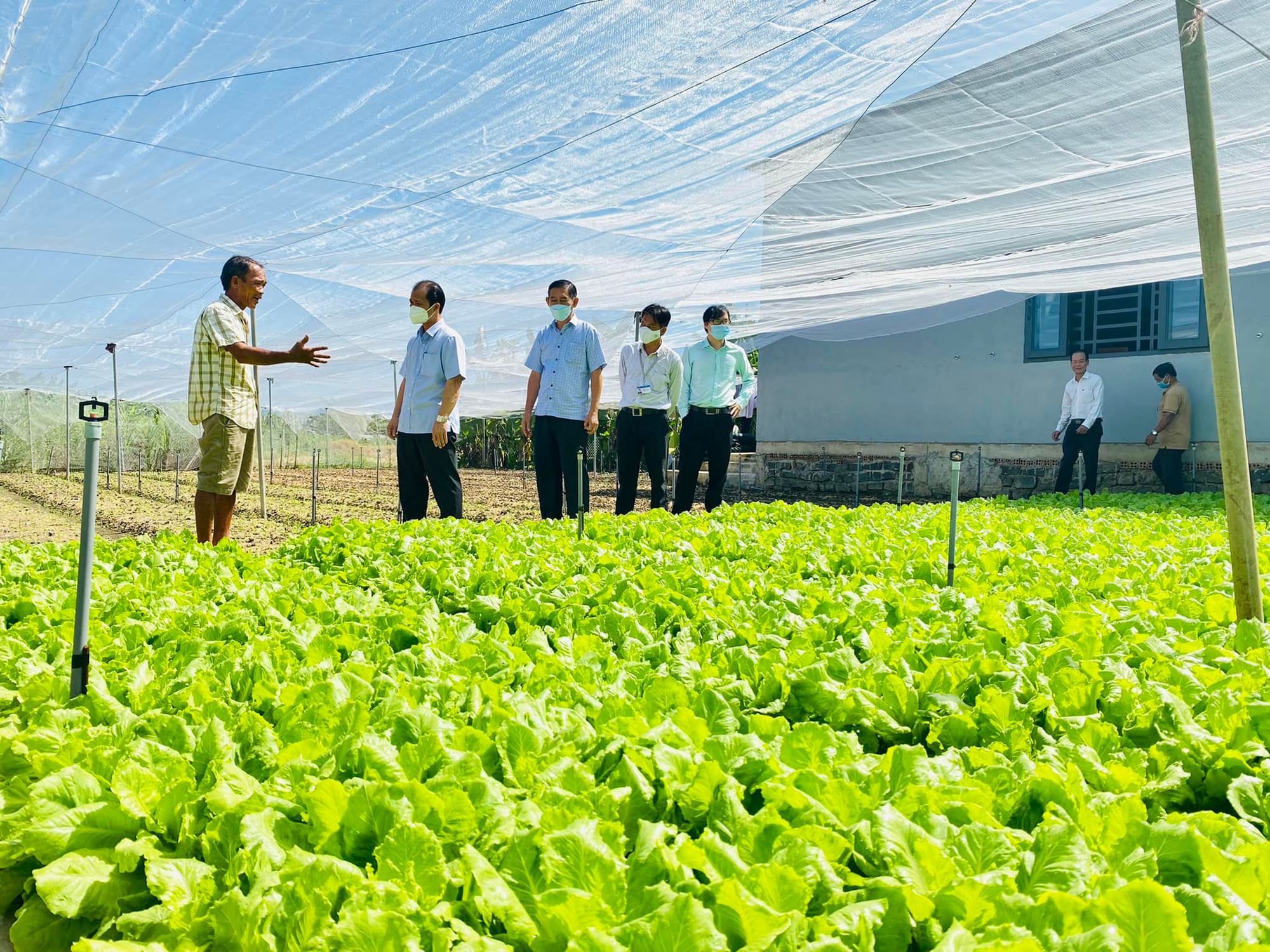 Đồng Nai: Trao 1 tỷ đồng vốn Quỹ HTND cho nông dân xây dựng nhà lưới trồng rau sạch - Ảnh 1.