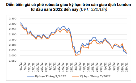 Áp lực dư cung, giá cà phê còn &quot;lao dốc&quot; đến đâu? - Ảnh 2.