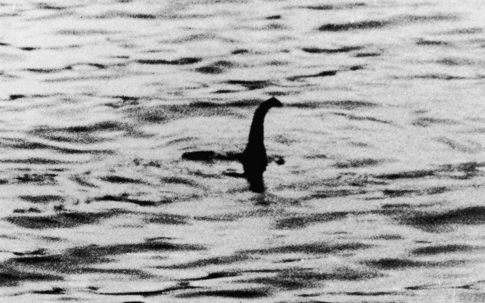 Revealing the latest video recording the Loch Ness monster