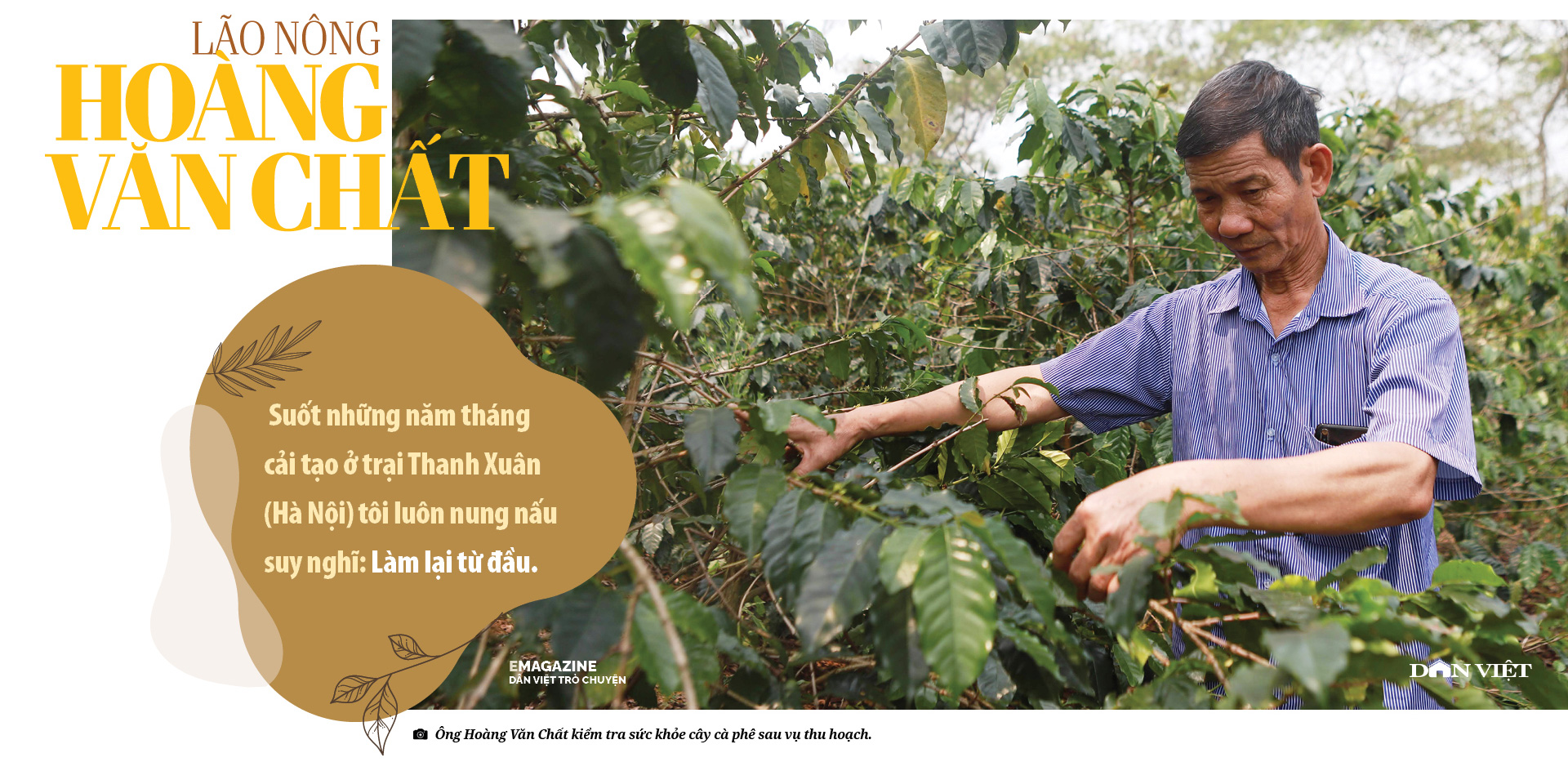 Lão nông người Thái ở Sơn La từng vào tù vì cây cà phê, giàu lên cũng nhờ cà phê - Ảnh 4.