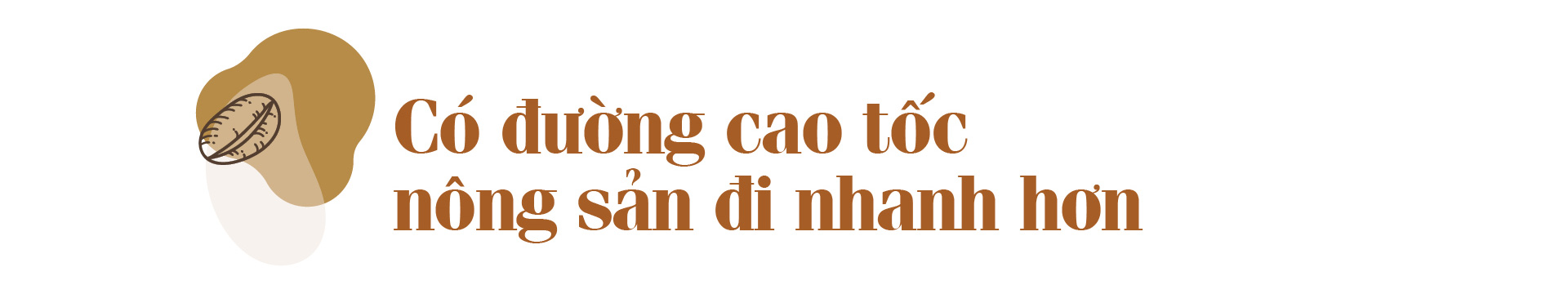 Lão nông người Thái ở Sơn La từng vào tù vì cây cà phê, giàu lên cũng nhờ cà phê - Ảnh 9.