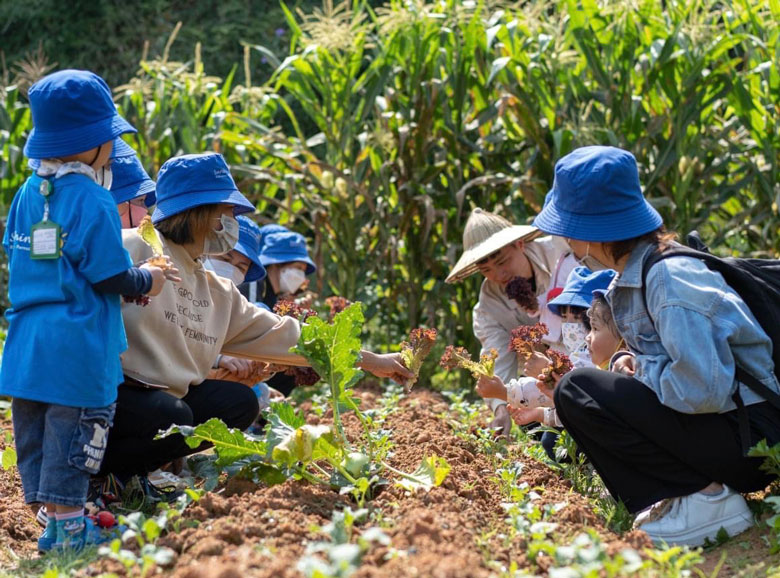 Trồng dâu Bạch Tuyết hiếm, đắt nhất thế giới, giá gần 1 triệu đồng/kg vẫn &quot;cháy hàng&quot; - Ảnh 4.