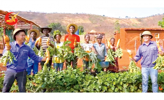 Trai làng quê lúa Thái Bình giúp nông dân châu Phi trồng củ cải to bự, bảo quản hạt giống trong chum, vại - Ảnh 1.