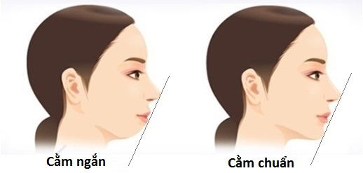 Nhìn tướng cằm 3 giây biết tương lai bạn thành công hay khổ cả đời - Ảnh 4.