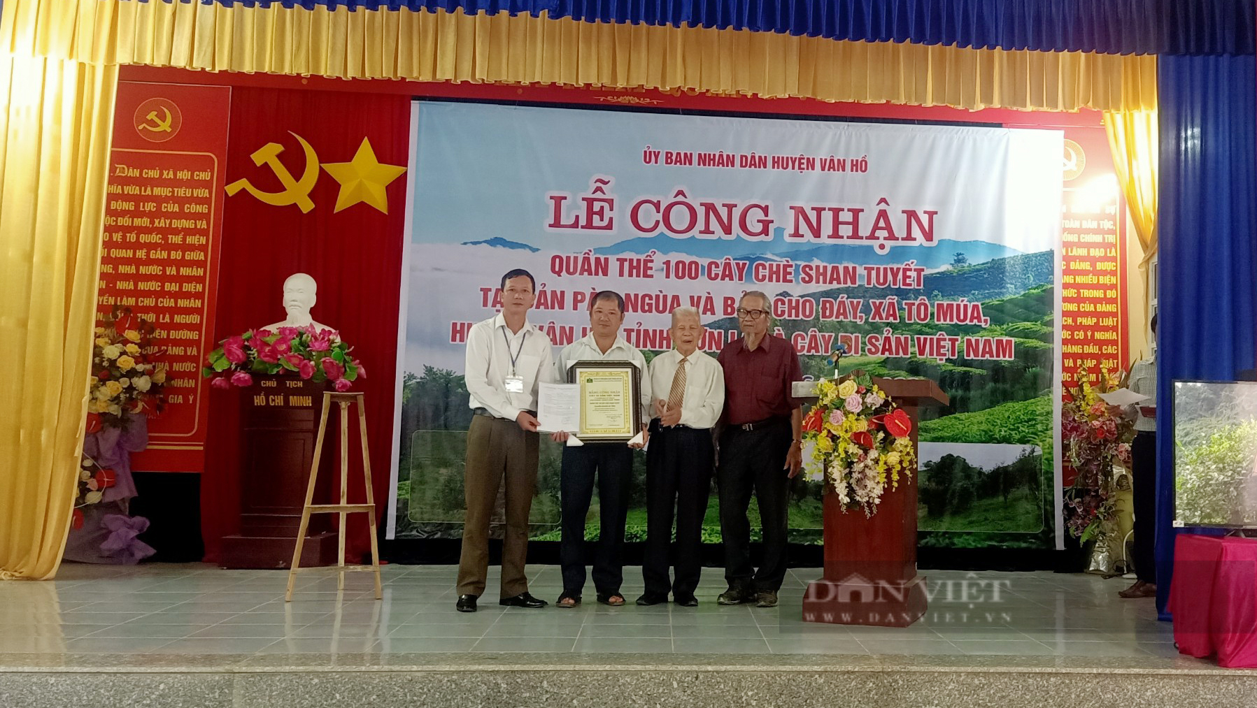 Sơn La: 100 cây chè Shan tuyết ở Vân Hồ được công nhận Cây Di sản Việt Nam - Ảnh 1.