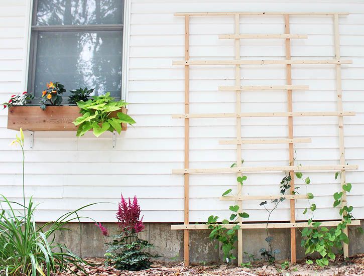 12 kiểu hàng rào cực xinh cho khu vườn nhà
