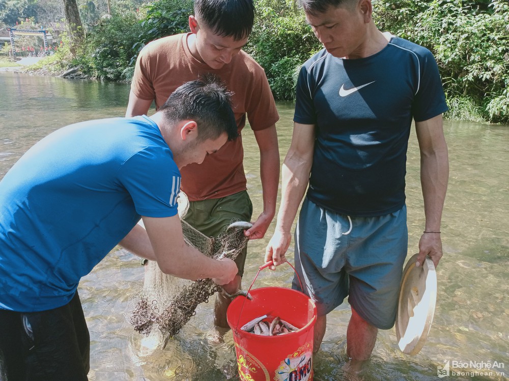 Ở vùng này Nghệ An, dân giữ suối cả năm, một ngày đẹp trời cả làng xuống bắt cá đặc sản đông vui như hội - Ảnh 3.